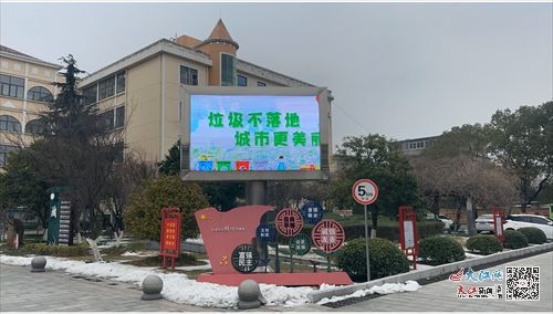 柴桑区第二小学开展垃圾分类主题宣传活动 组图